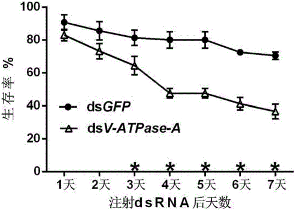 Apolygus lucorum V-ATPase-A gene cDNA (complementary Deoxyribonucleic Acid) and application thereof