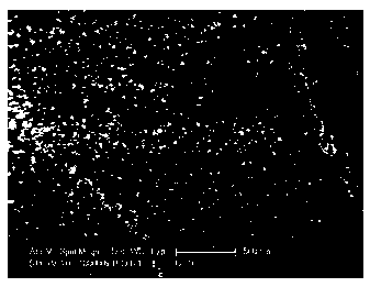 Method for preparing chitosan/hydroxyapatite composite microspheres