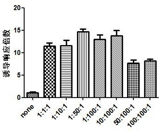 a alpha  <sub>1</sub> High-throughput screening cell model of -AR subtype selective antagonist and its construction method and application