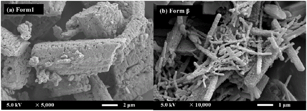 Novel crystal form of gefitinib and preparation method thereof based on supercritical anti-solvent technology