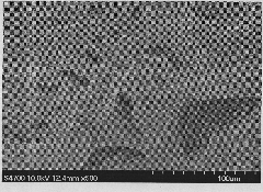 Preparation method of photoresponse hydrogel containing azo monomers