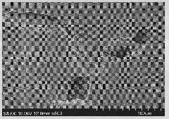 Preparation method of photoresponse hydrogel containing azo monomers