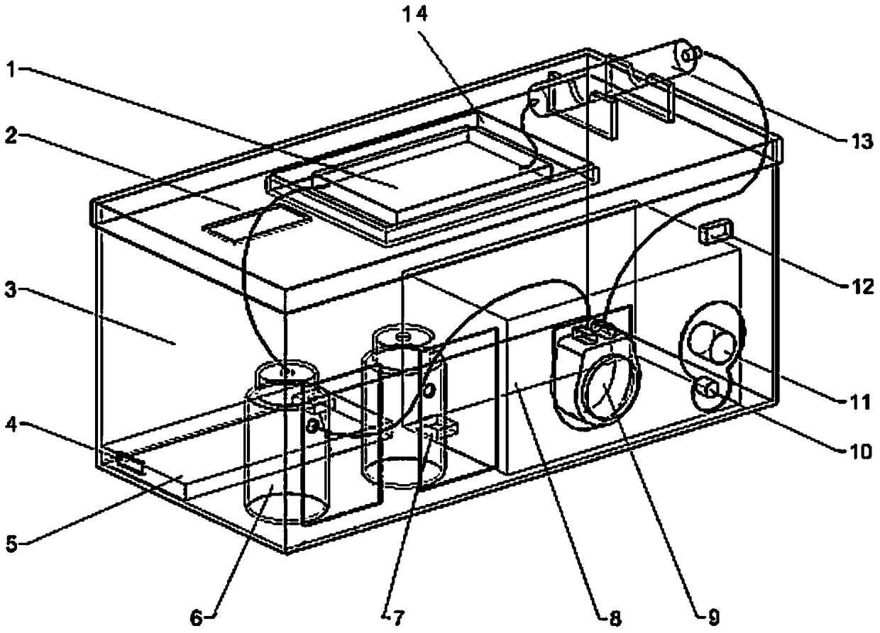 Bio-optical simulation equipment