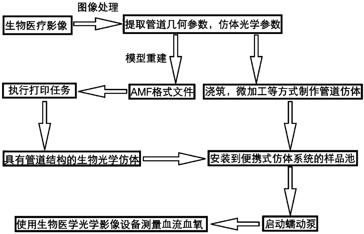 Bio-optical simulation equipment