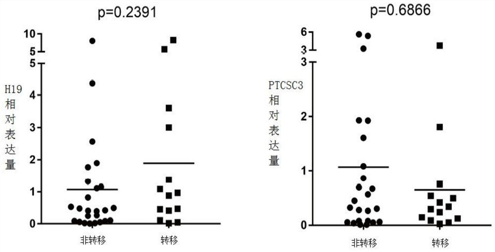 A cancer combined diagnostic marker and its application