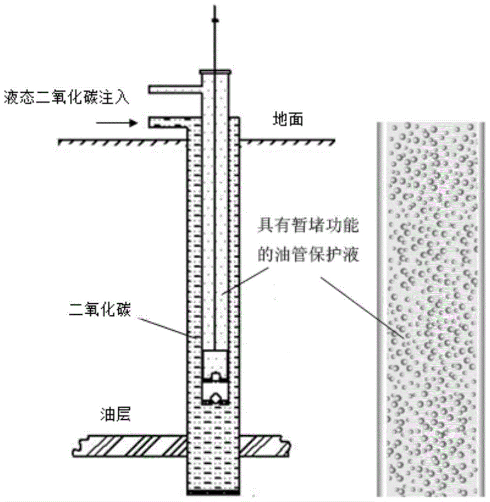 Oil pipe protection fluid with temporary plugging function, preparation method and application thereof