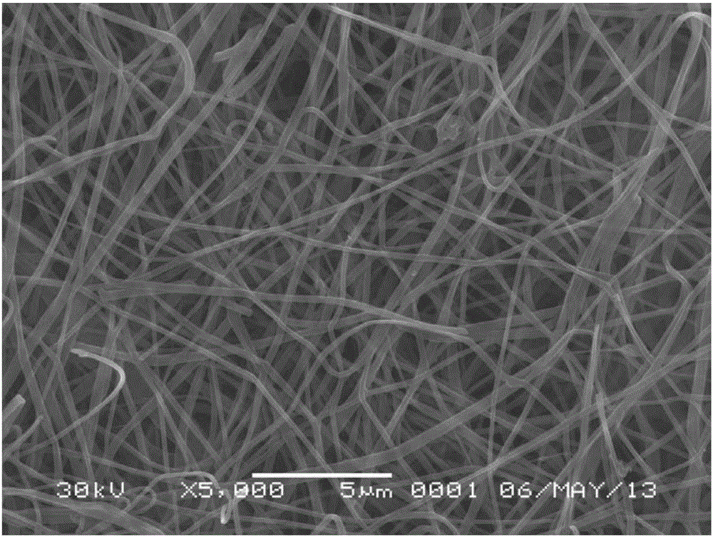 Chitosan non-woven fabric and preparation method and application thereof