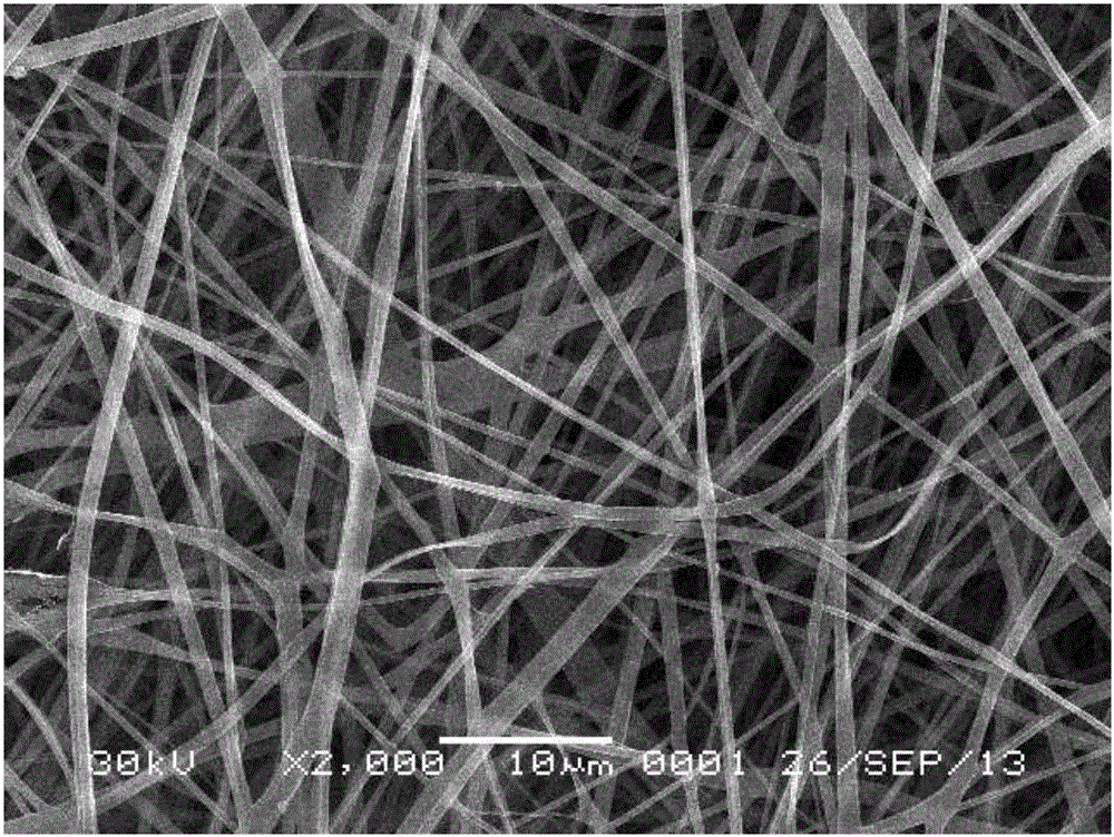 Chitosan non-woven fabric and preparation method and application thereof