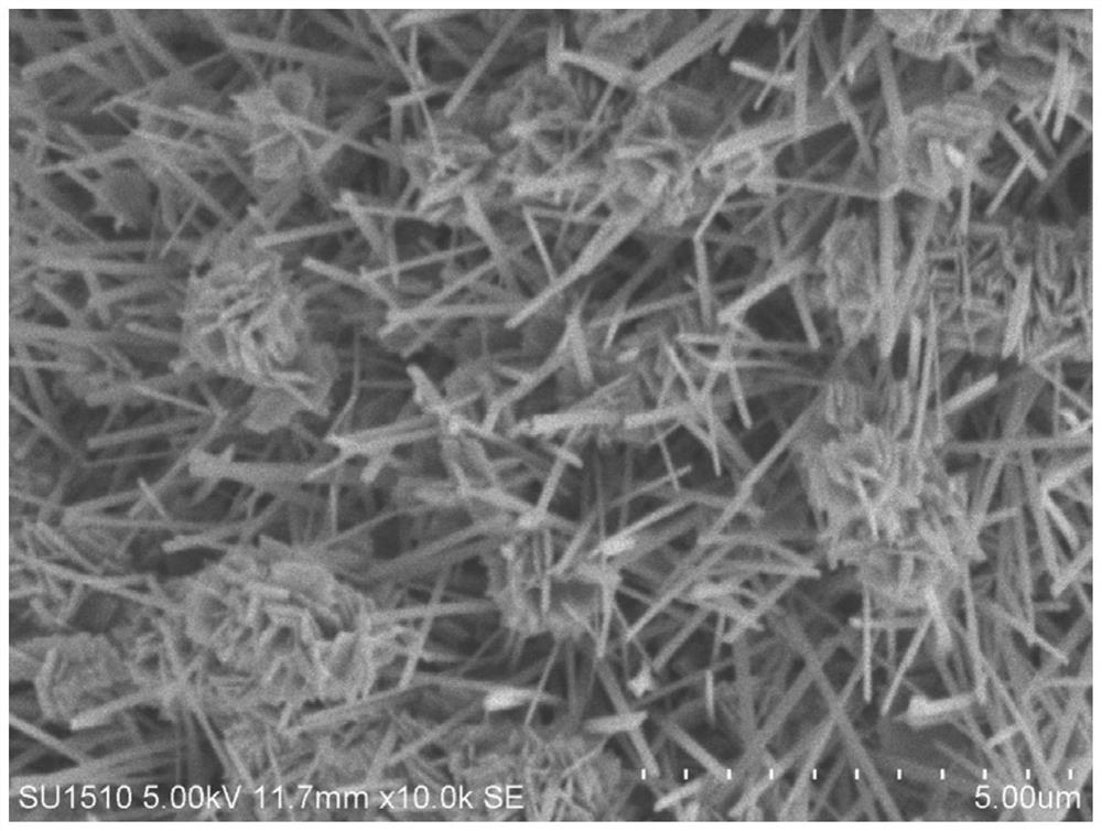 Preparation method of copper oxide with nano flower-like structure