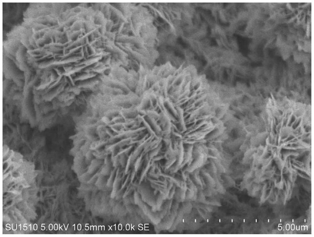 Preparation method of copper oxide with nano flower-like structure