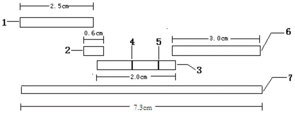 Human group A streptococci quantum dot immunochromatography detection card, preparation method and applications