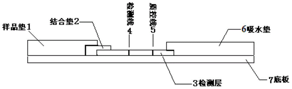 Human group A streptococci quantum dot immunochromatography detection card, preparation method and applications