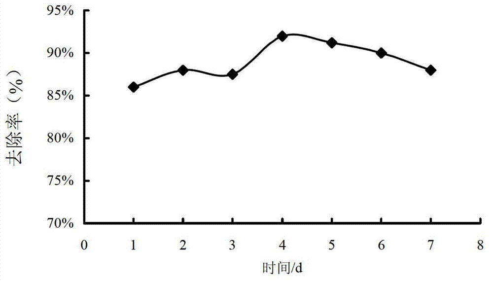 Filler for sewage treatment, preparation method of filler and sewage treatment method