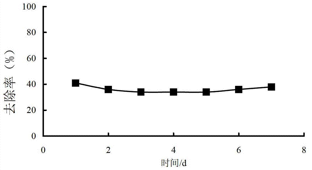 Filler for sewage treatment, preparation method of filler and sewage treatment method