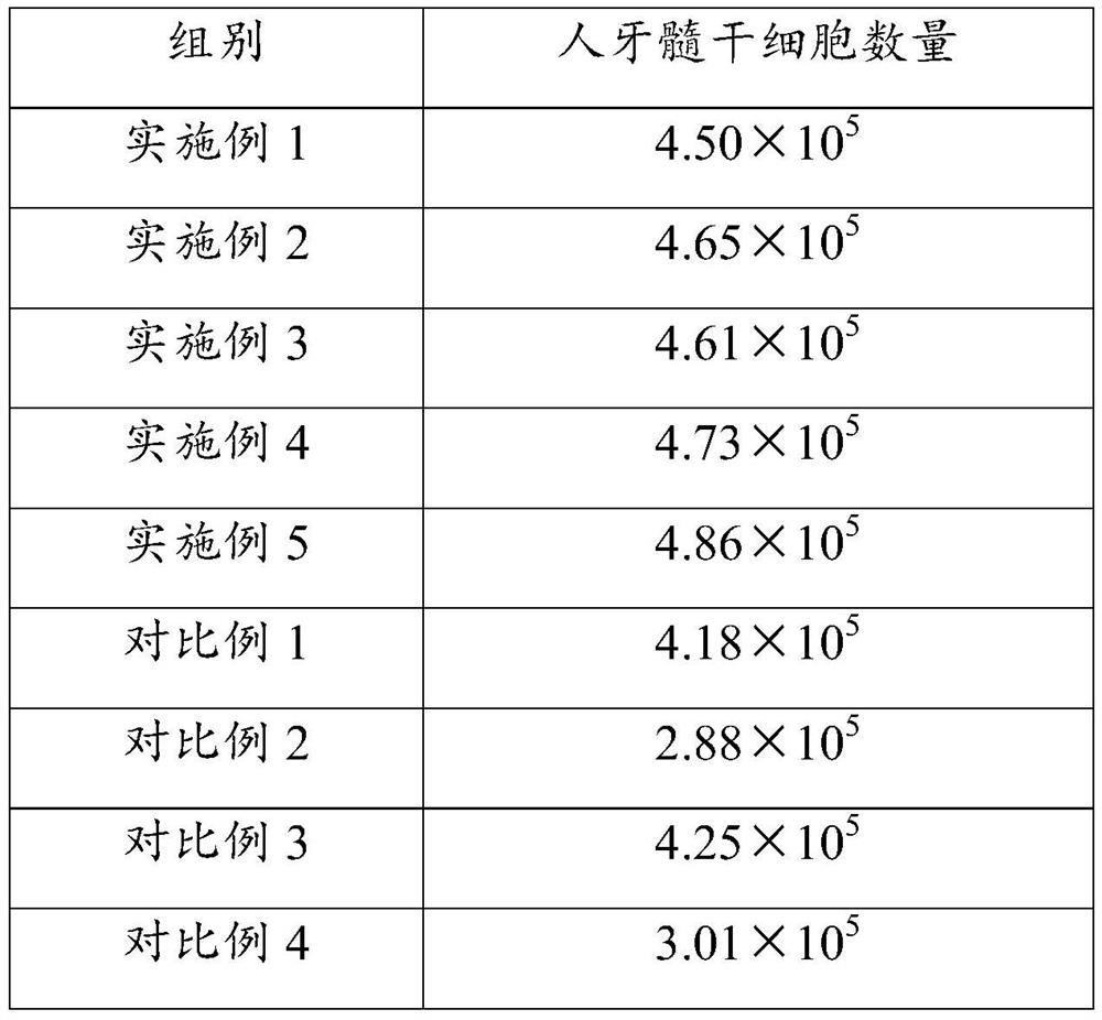 Separation and amplification method and application of human dental pulp stem cells