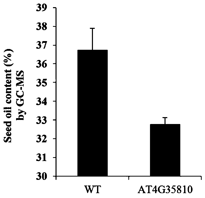 Method for screening quantitative character candidate genes