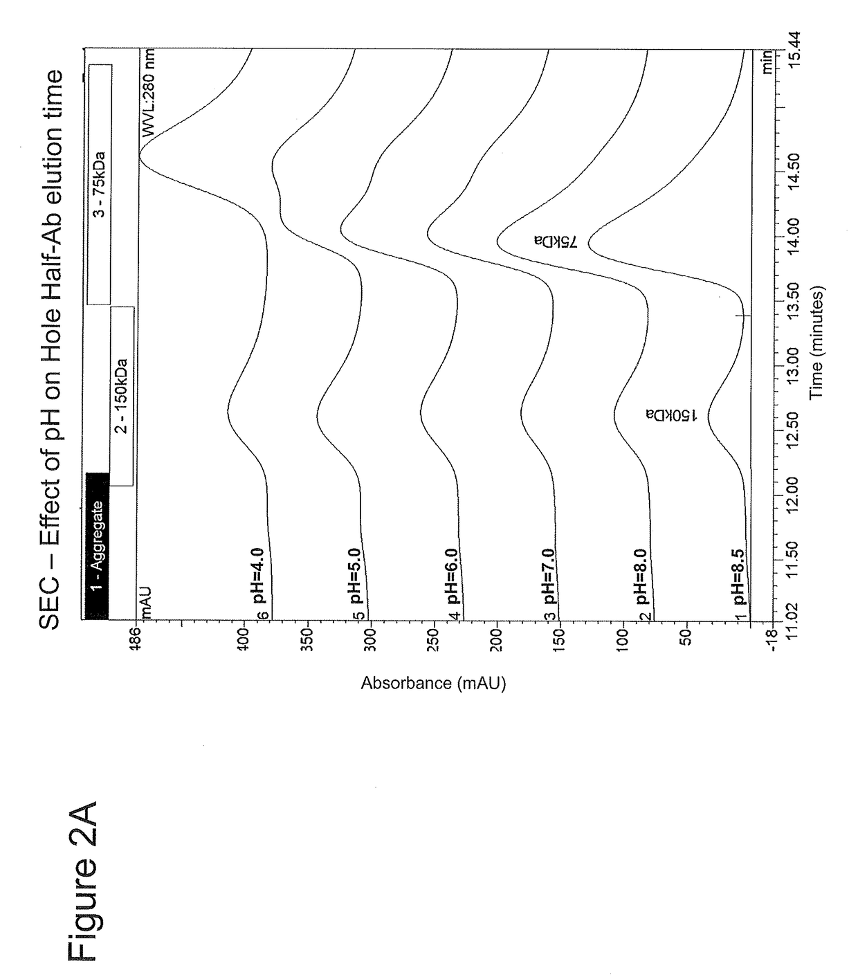 Assembly of bispecific antibodies