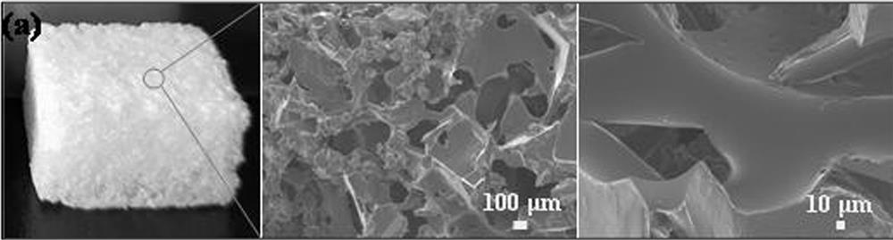 Oil-water separation sponge with high elasticity and mechanical durability and preparation method thereof