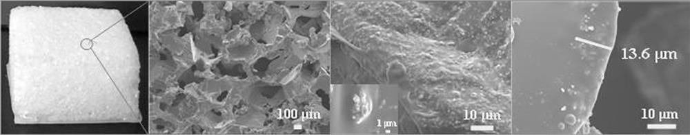 Oil-water separation sponge with high elasticity and mechanical durability and preparation method thereof