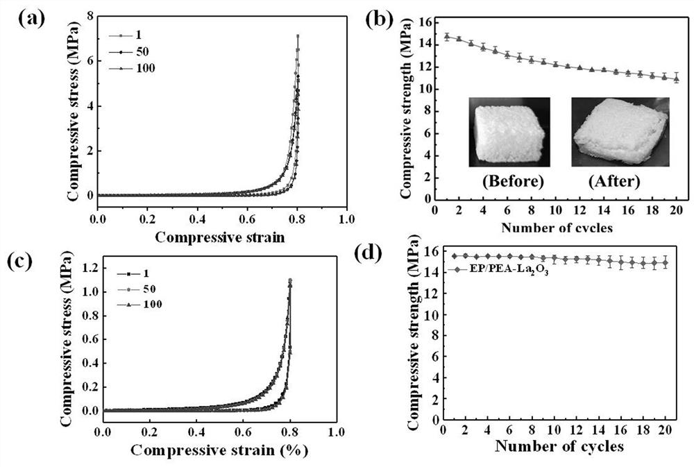 Oil-water separation sponge with high elasticity and mechanical durability and preparation method thereof