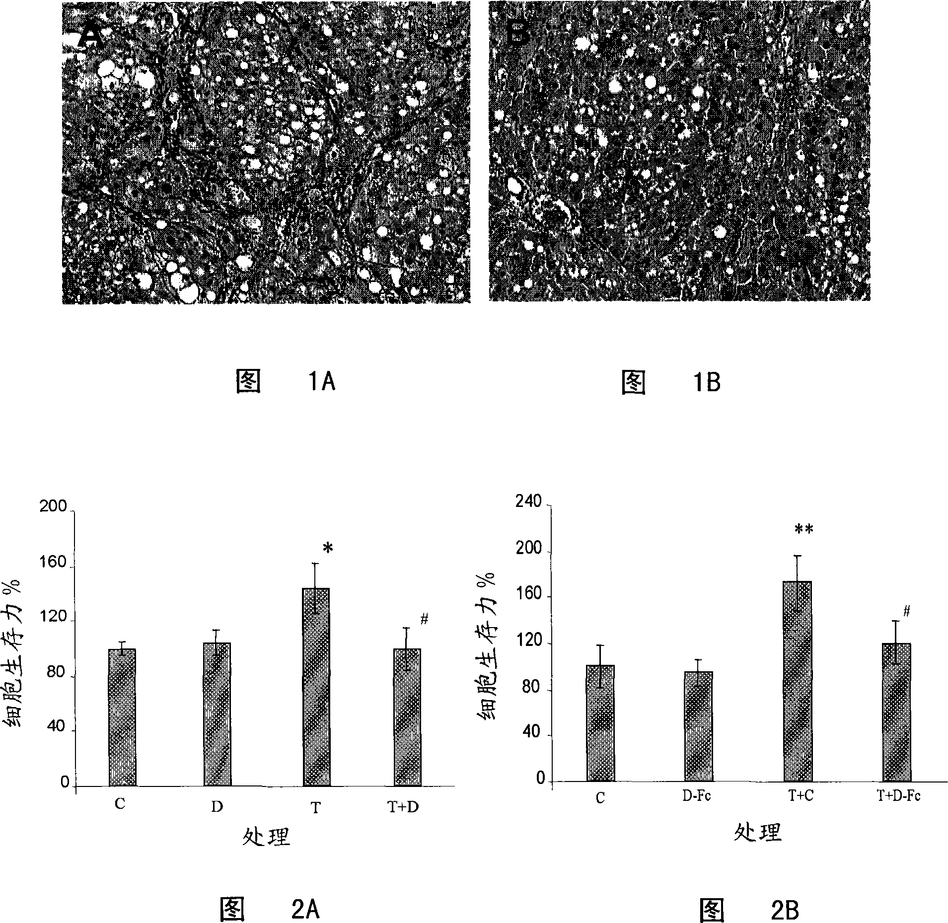 Method for inhibiting fibrogenesis by an rhdecorin-fc fusion protein