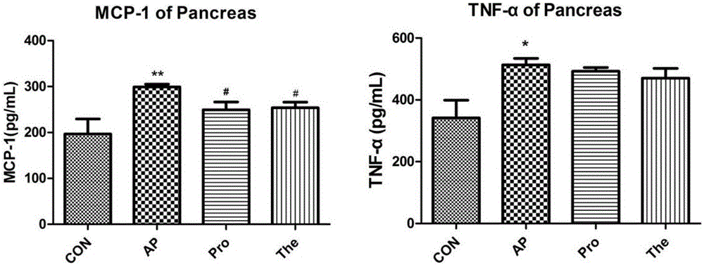 Application of alpha-lactose for preparing health care foods capable of preventing and treating acute pancreatitis