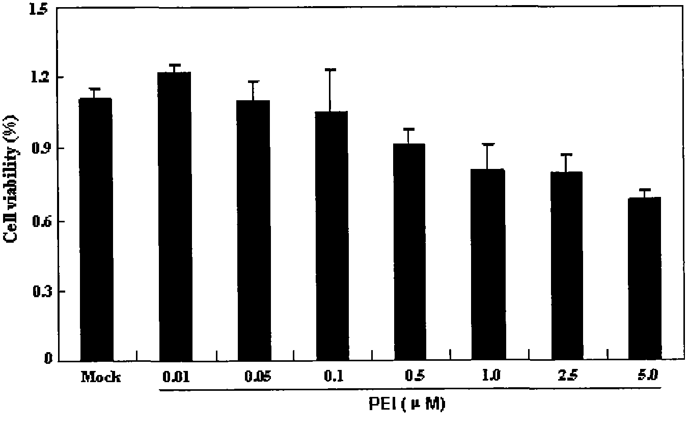 New ionizing radiation damage resistance function of polyethyleneimine compounds, and its application