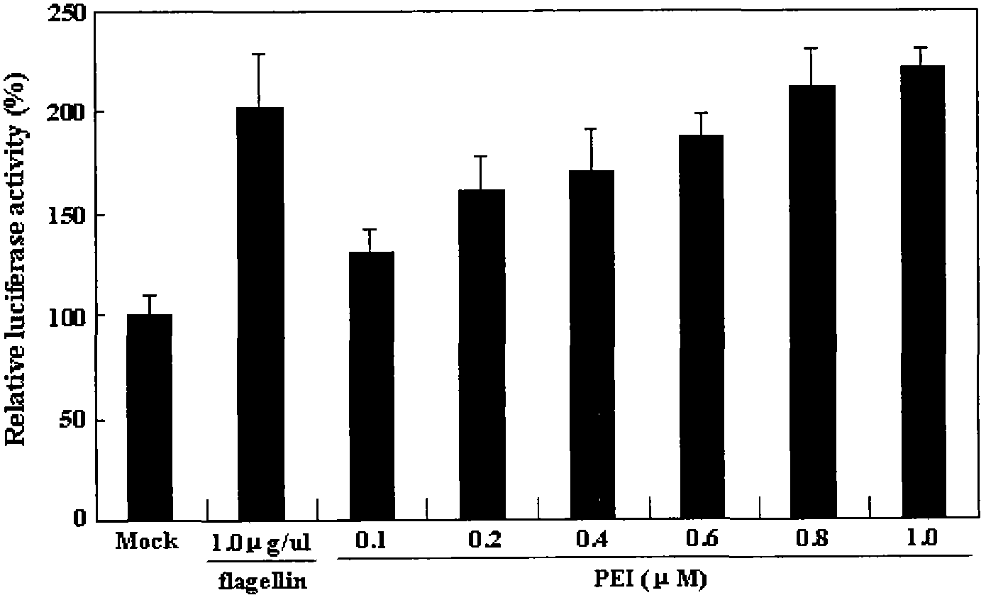 New ionizing radiation damage resistance function of polyethyleneimine compounds, and its application