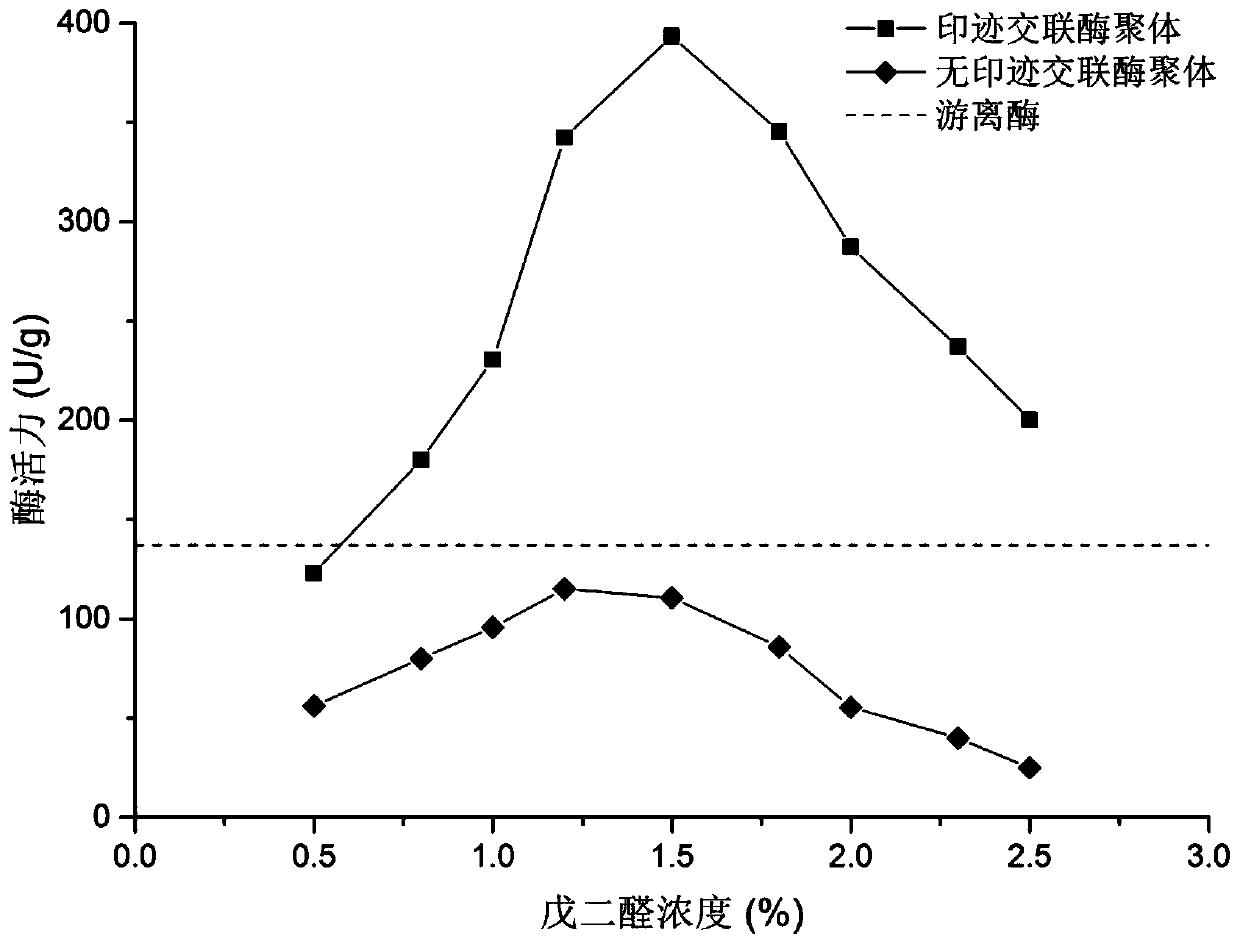 A method for immobilizing phospholipase d to improve the activity of phosphatidylglycerol synthesis