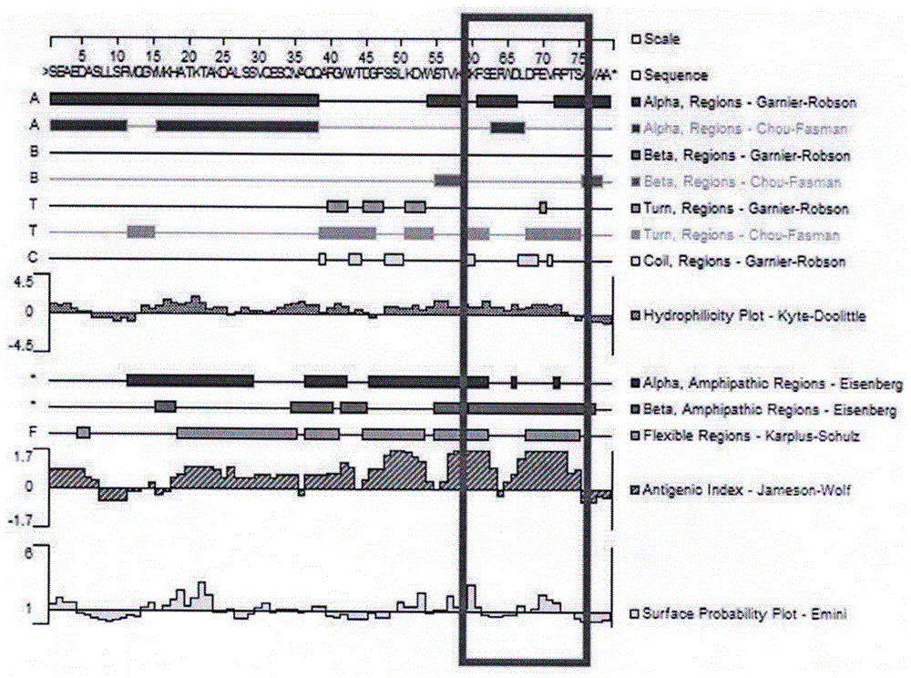 Preparation and application of apolipoprotein C-III monoclonal antibody