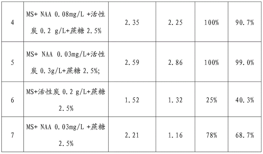 Method for rooting and thickening of fructus momordicae tissue culture seedlings