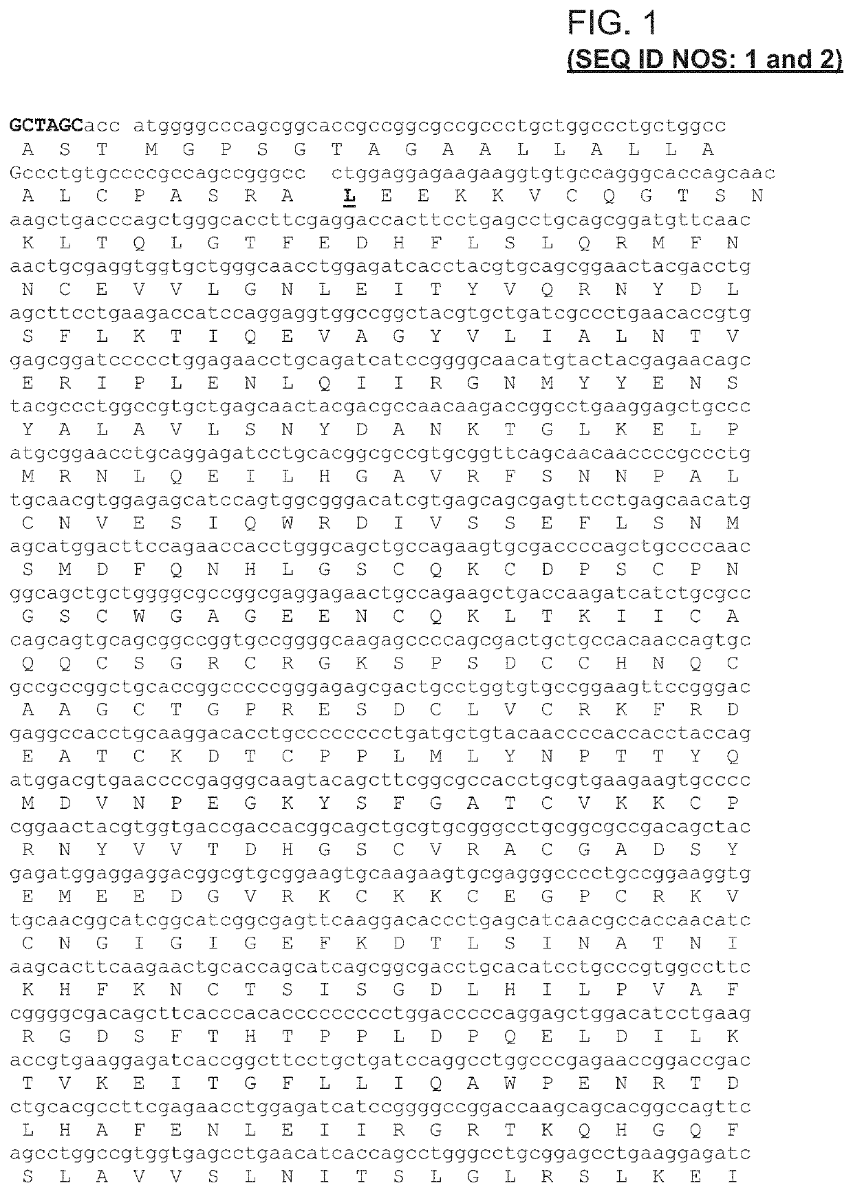 Antibodies that bind EGFR and ErbB3