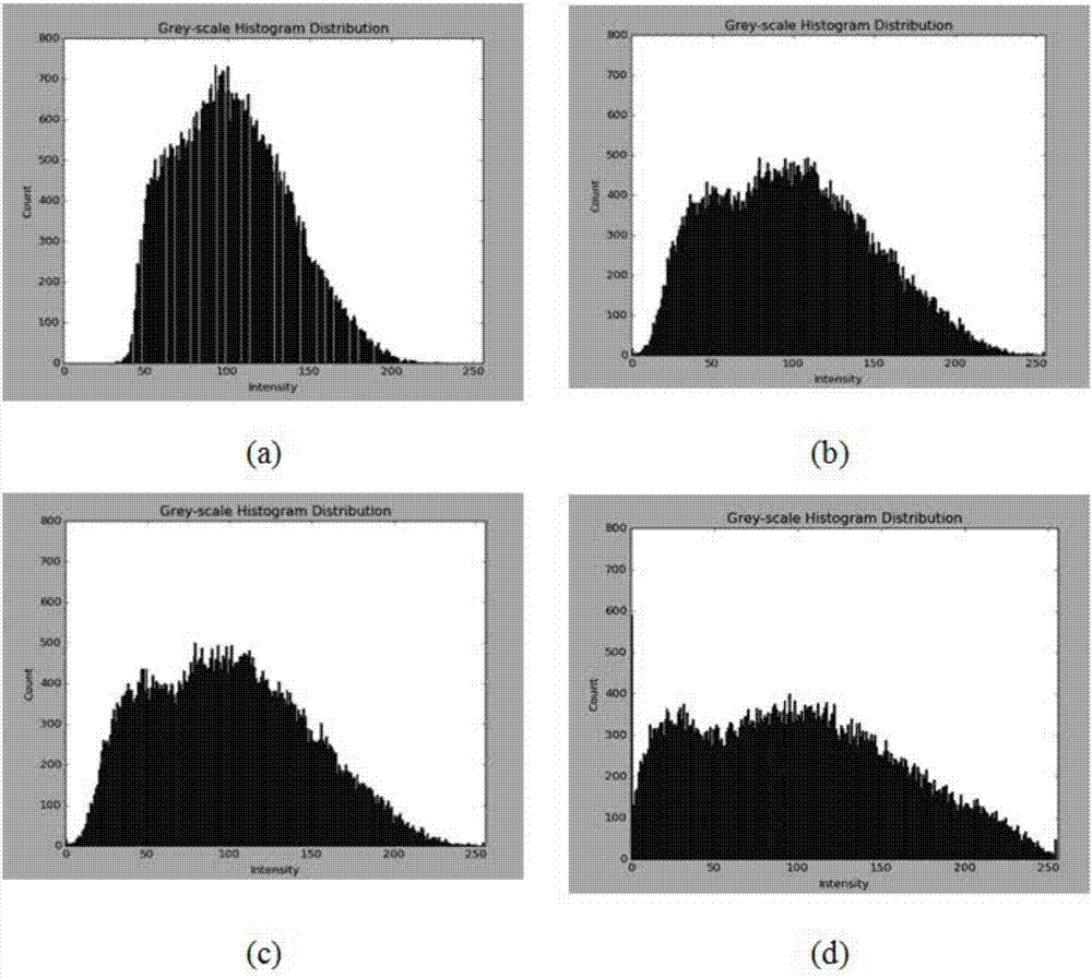 Shallow sea underwater image enhancement method based on relative global histogram extension