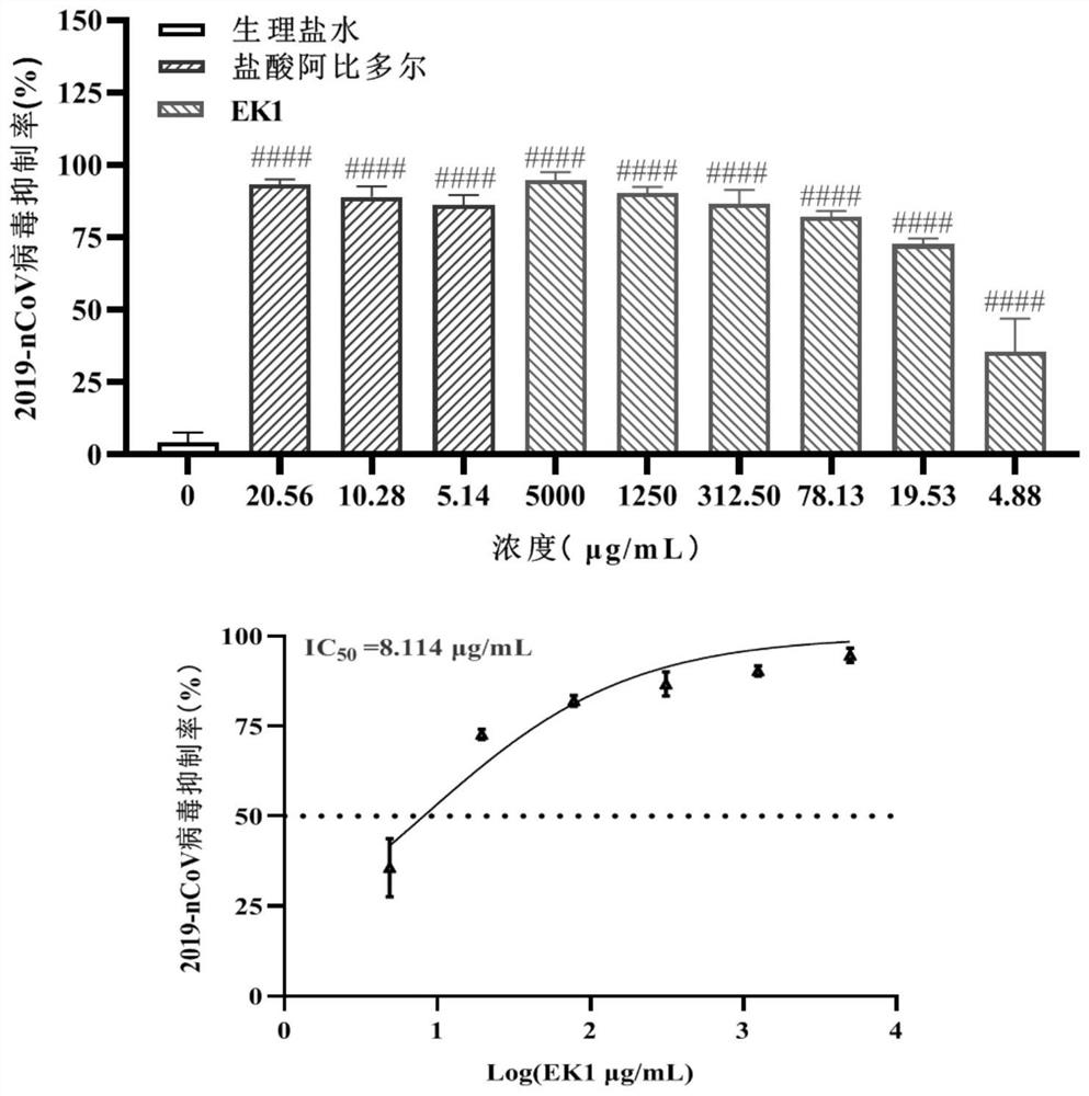 Protein freeze-dried powder and solution thereof