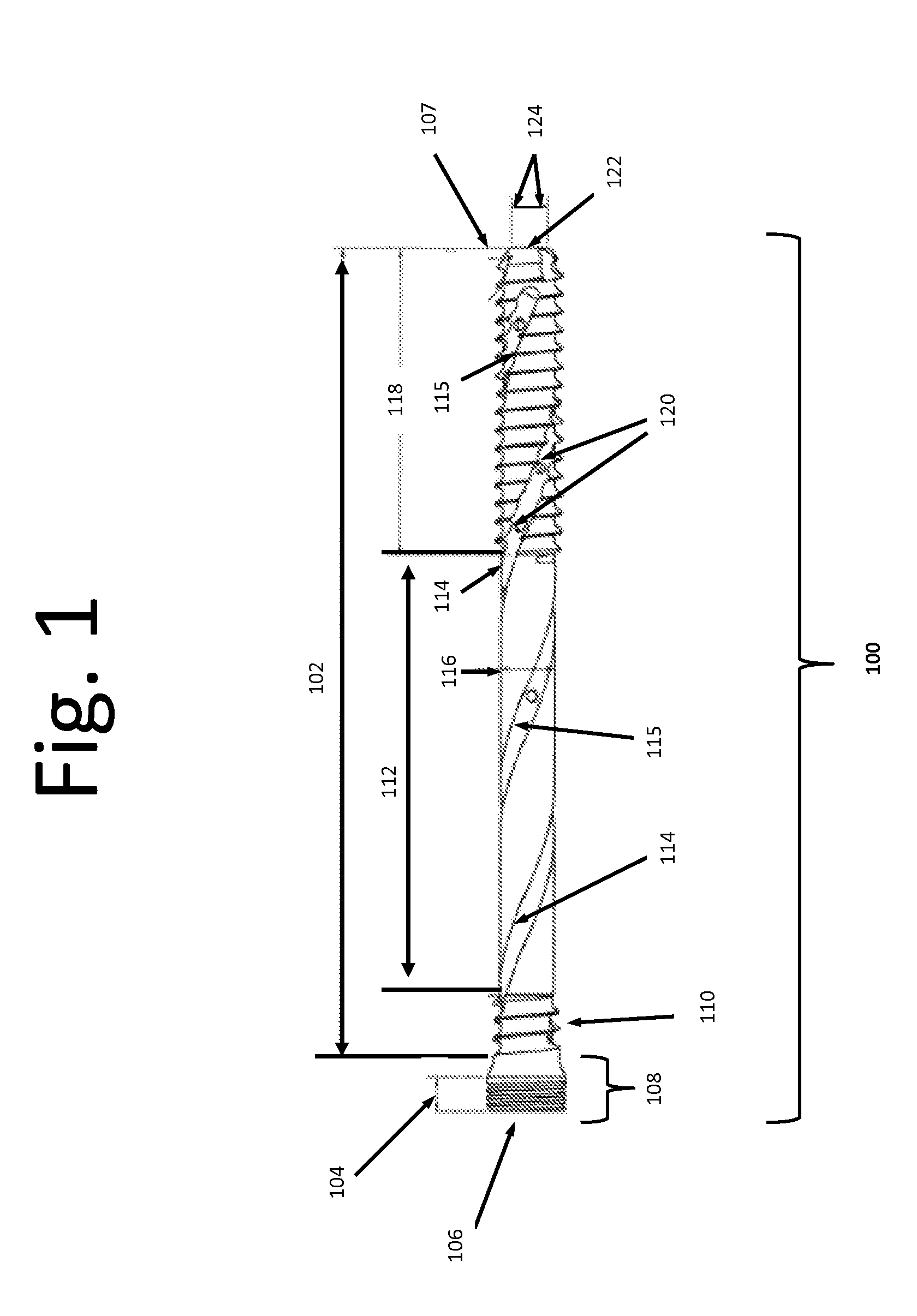 Bone screws and methods of use thereof