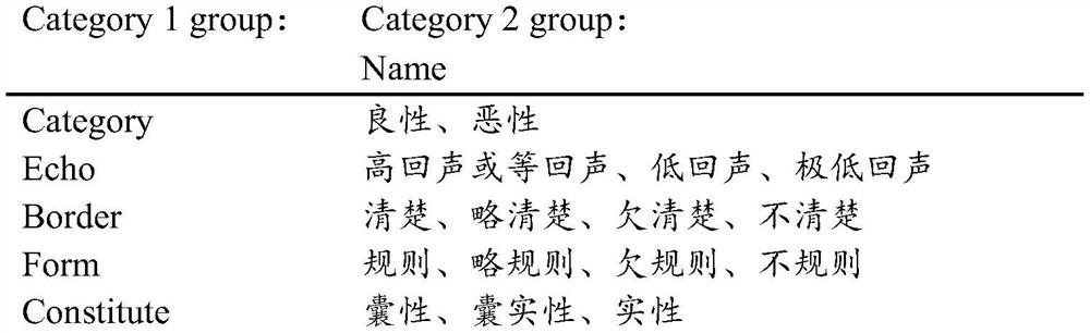 Thyroid nodule grading identification system and method