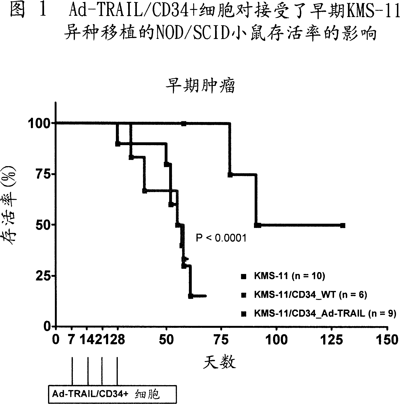 Tumor-homing cells engineered to produce tumor necrosis factor-related apoptosis-inducing ligand