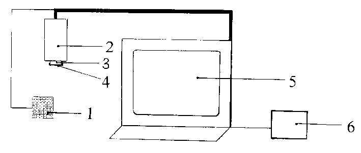 Device for determining venous blood vessel