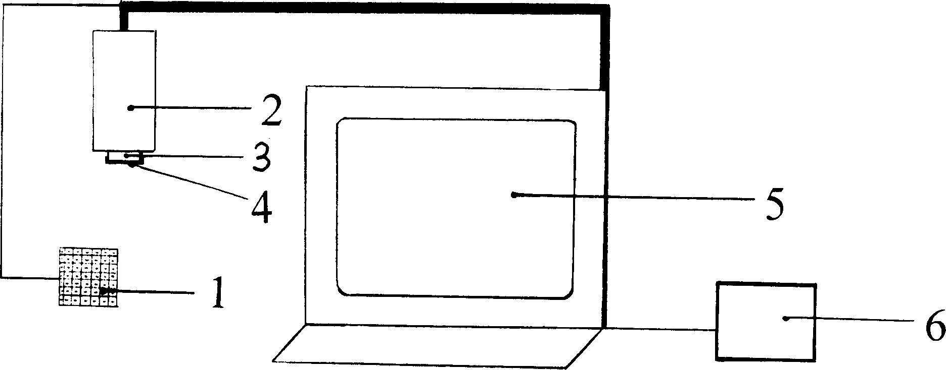 Device for determining venous blood vessel