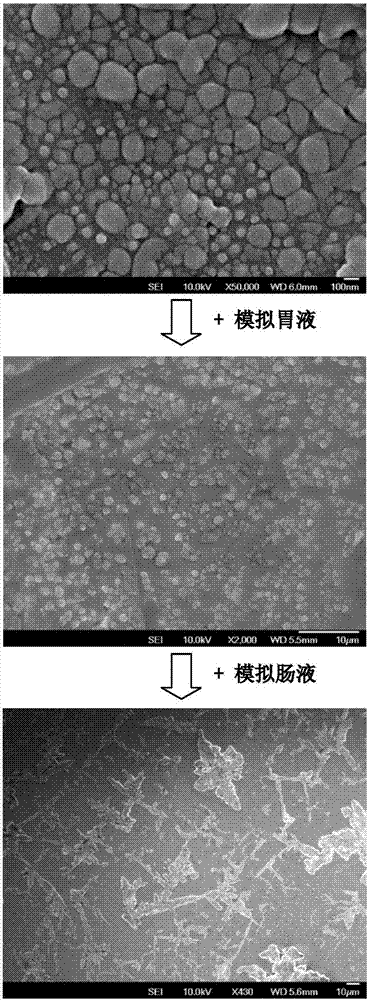 Icaritin liposome oral preparation, and preparation method thereof