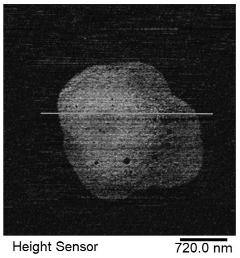 Method for preparing nitrogen-doped graphene ink with assistance of sodium deoxycholate