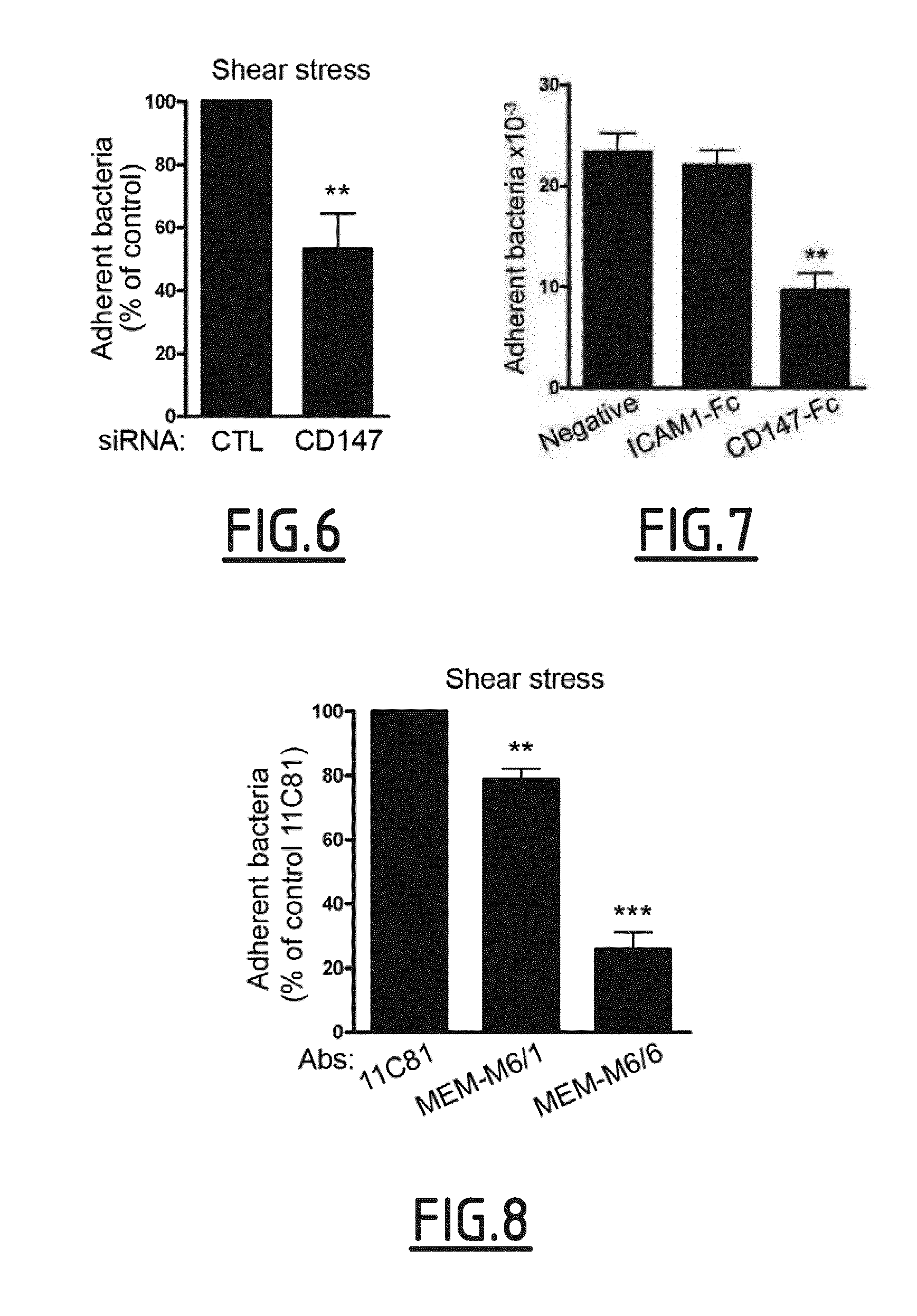 Cd147 as receptor for pilus-mediated adhesion of meningococci to vascular endothelia