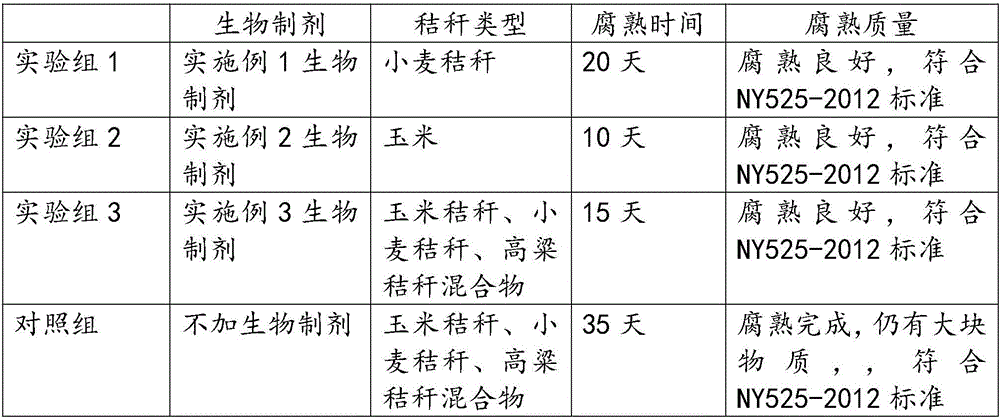 Biological preparation capable of promoting rapid degradation of straw