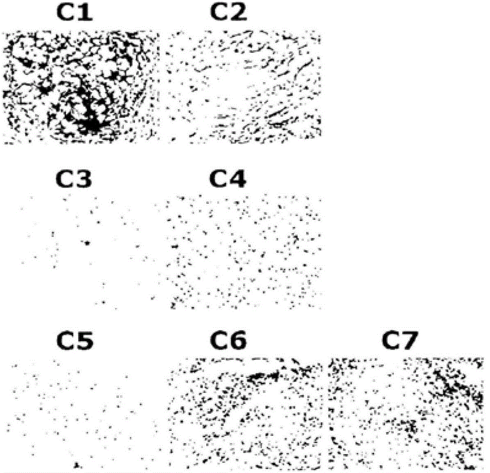 Thromboprotein 1, thrombin 2, interleukin 17b receptor and heparin-binding epidermal growth factor-like growth factor associated with stem cell activity and their uses