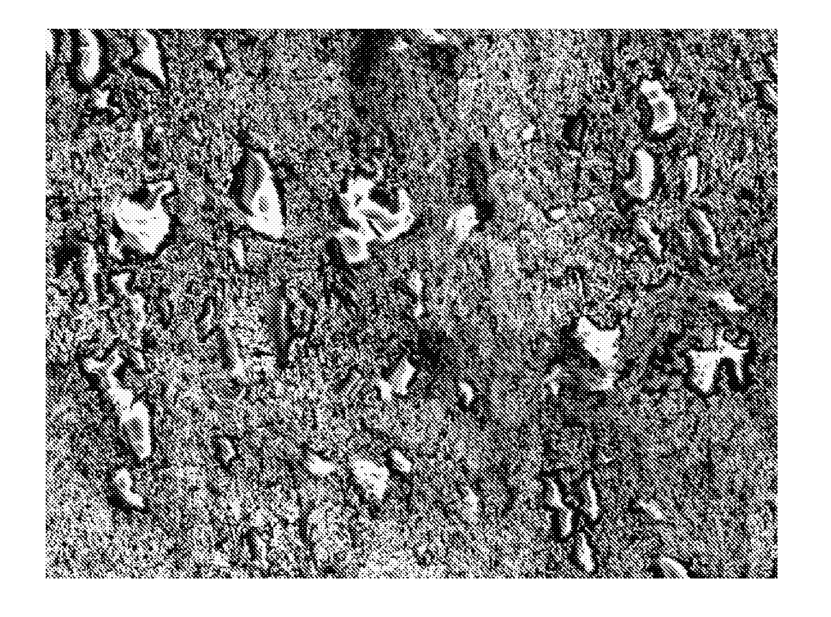 Method for producing heterogeneous composites