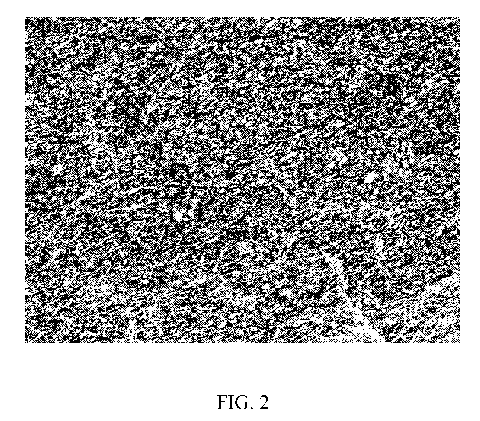 Method for producing heterogeneous composites