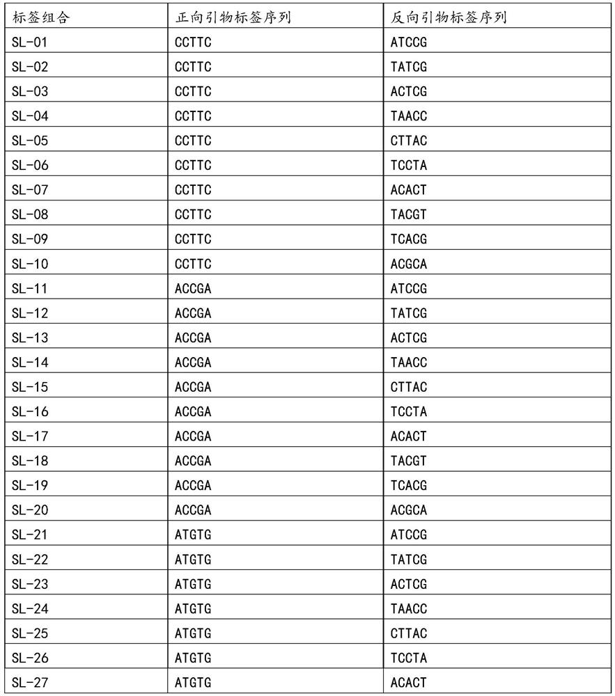 Sample mixing detection method for detecting purity of watermelon seeds based on mSNP technology