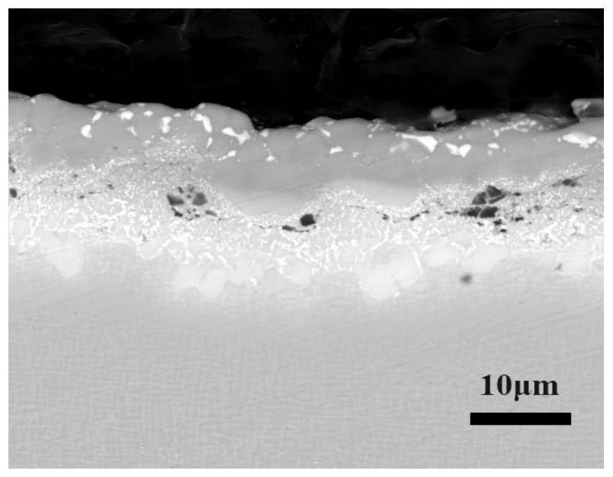 Method for prolonging service life of thermal barrier coating based on platinum-aluminum bonding layer