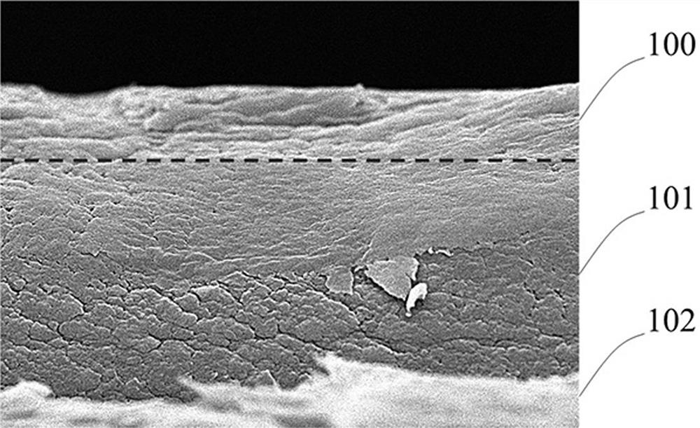 A carbon dioxide separation membrane and its application