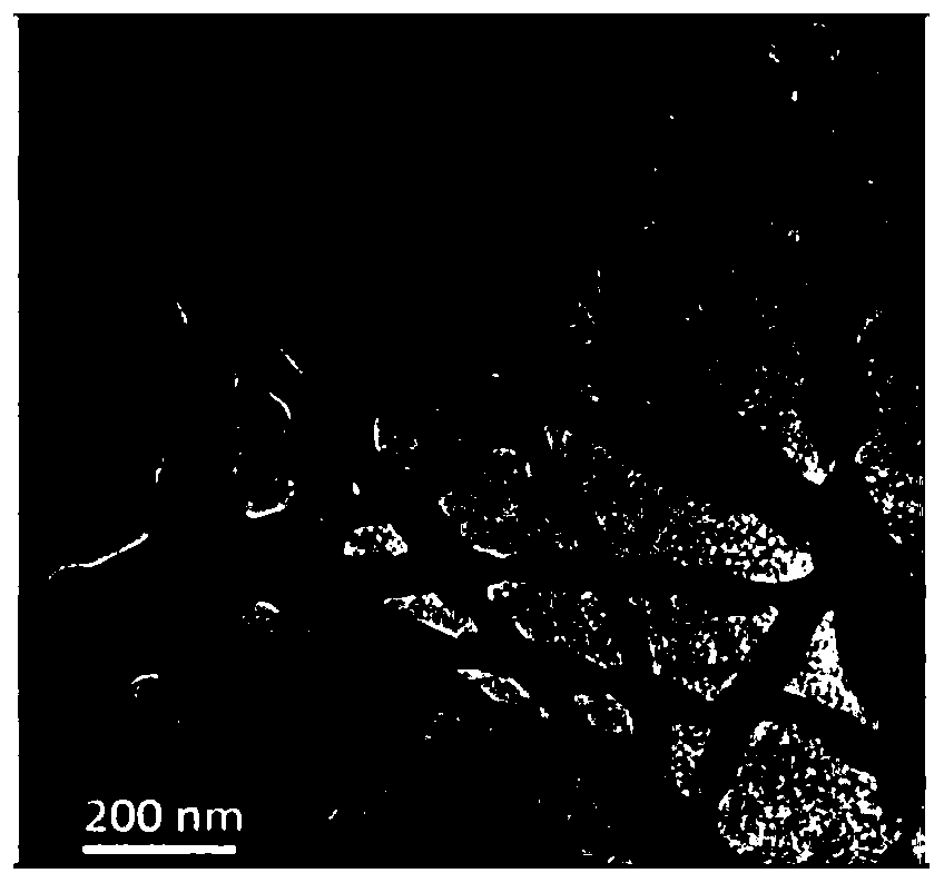 First small molecule peptide with oxygen carrying potential, second small molecule peptide capable of generating active oxygen, and preparation method of first and second small molecule peptides